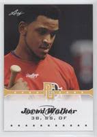Jared Walker Baseball Cards