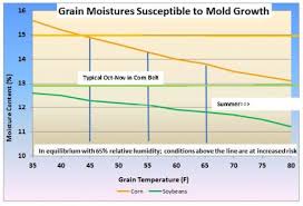 Pay Attention To Condition Of Stored Corn Agrodaily