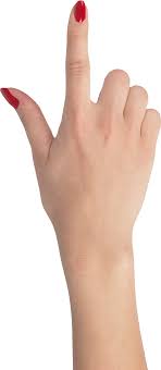 Finger Png6301 Png 964 2213