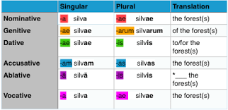 Latin 1 Declension Conjugation Charts Flashcards Quizlet