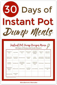 30 Days Of Instant Pot Dump Recipes