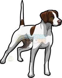 Black And White Spotted Dog Clipart An Alerted German Shorthaired Pointer Pet Dog A Dog With White Short Fur And Several Dark Brown Spot Marks D Dog Animation Puppy Drawing English Pointer Dog