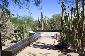 The desert botanical garden features one of the world's finest and most expansive collections of desert plants. Featured Venue Desert Botanical Garden Casey Green Weddings