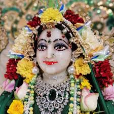 Beautiful Darshan of Sri Sri Radha Giridhari today at ISKCON Auckland NZ.  11th April 2020. #darshan #iskcon #harekrishna🙏 #deity #yoga #meditation🙏