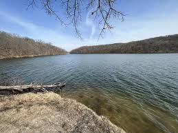 PFAS "Forever Chemicals" Being Found In More Wisconsin Animals