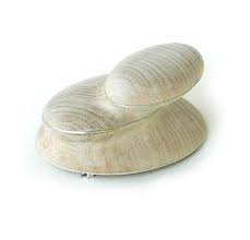 Beppe Kessler Brooch Long Time 2008 Silver Lime Wood Art Jewelry Contemporary Contemporary Jewlery Wood Jewellery
