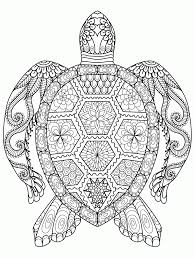 But don't think that shell holds them back — for a few turtles, slow just isn. Adult Coloring Pages Turtle Coloring Home