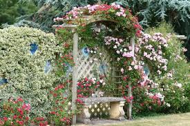Cottage Rose Garden Cottage Garden Design Small Cottage Garden Ideas Cottage Garden Roses