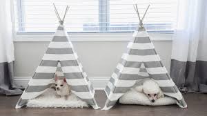 Check spelling or type a new query. Diy Teepee Dog Bed A Step By Step Tutorial Proud Dog Mom