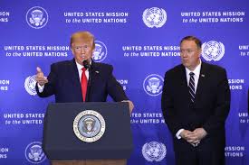 Image result for pompeo