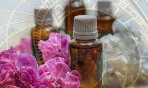 Ο τρόπος απόσταξης εξαρτάται από το είδος και το μέρος του. Poia Arwmata Apo Ai8eria Elaia Aresoyn Sto Zwdio Sas Enas Odhgos Gia Na Mhn Anarwtieste