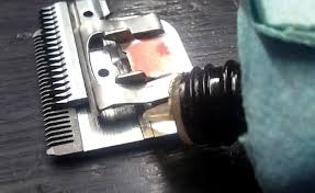 Piece is needed for the new wahl detailer lower housing to hold the tension spring as well as the blade screws. How To Properly Oil A Clipper Blade Groomer To Groomer