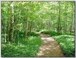 صور طبيعة طبيعة خلابة أجمل المناظر الطبيعية country roads scenery places to visit