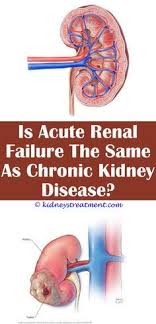 Kidney Stones In Women Chronic Kidney Disease Kidney Disease Polycystic Kidney Disease