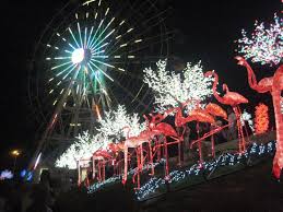 I city shah alam city of digital lights i city shah alam kuala lumpur malaysia | natural 4 you. Mohd Faiz Bin Abdul Manan I City City Of Digital Lights