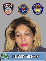 Brandy Aragon's Instagram, Twitter & Facebook