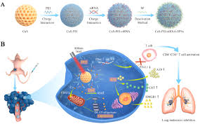Cuproptosis-based layer-by-layer silk fibroin nanoplatform-loaded PD-L1  siRNA combining photothermal and chemodynamic therapy against metastatic  breast cancer