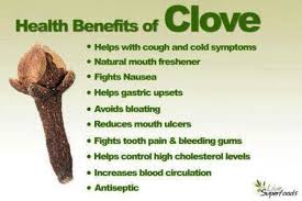 Clove Benefits Use Cloves To Curb Carb Cravings Put In Yogurt With Cinnamon Etc Cloves Health Benefits Food Health Benefits Cloves Benefits