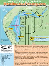 hamlin lake hamlin lake fishing map