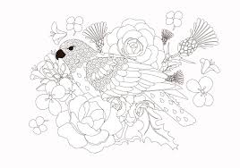 Download Coloring Book Bird Animal Vector 216091 Vector Art At Vecteezy