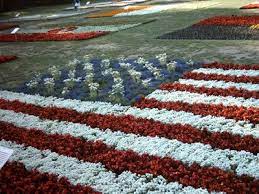 Some of the technologies we use are necessary for critical functions like security and site integrity, account authentication, security and privacy preferences, internal site usage and maintenance data, and to make the site work. Red White And Blue Flowers Make A Creative American Flag White And Blue Flowers Front Flower Beds Garden Flower Beds