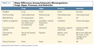 The Eukaryotes Fungi Algae Protozoa And Helminths Fungi Protists Kingdom Fungi