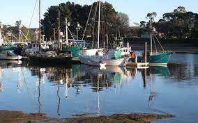 Sunrise River At Wynyard Tasmania States Of Australia Tasmania Australia