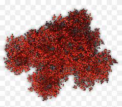 Red Leaves Tree Shrub Red Berberis Thunbergii Plant Tree Top View Forest Barberry Autumn Png Trees Top View Red Plants Trees To Plant
