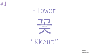 Daily Korean Korean Words Learning Korean Language Korean Words