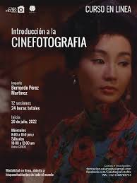 Panorámica, Muestra Internacional de Cine Independiente