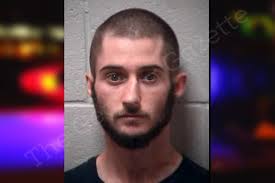 Trey Ayers — Henry County Jail Bookings