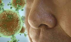 Maybe you would like to learn more about one of these? Coronavirus Symptoms Nose Congestion And Runny Nose Are The Two Warning Symptoms Express Co Uk