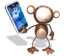 Tucson Kihon Games rides high