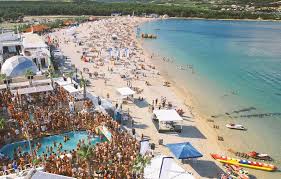 Maybe you would like to learn more about one of these? The Perfect Festival Week Papaya Club