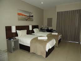 Hallo und herzlich willkommen hier. Springbok Fotos Besondere Springbok Northern Cape Bilder Tripadvisor