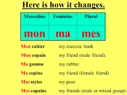 Amie to say my (female) friend, mon ami for a male friend. Saying My Your His Her Our And Your In French Ppt Video Online Telecharger
