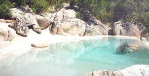Biodesign 34 Backyard Pool Swimming Pools Backyard Swimming Pools