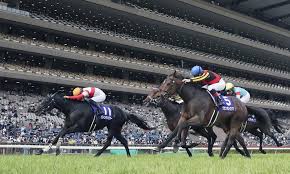 1.24 生産地 北海道安平 生産者 ノーザンファーム 性別 牝 毛色 鹿毛 調教師 藤沢和雄（美浦北） 馬主 サンデーレーシング 競走成績 12戦8勝（現役馬） 受賞歴 2019年 jra L F3wh8b9ehrzm