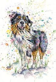 Watercolour And Pen Pet Portrait Commission Of An Australian Shepherd Dog 7 5 X 11 Inches In Siz Colorful Animal Paintings Colorful Dog Art Dog Watercolor Art