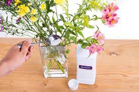 We did not find results for: How To Keep Flowers Alive 12 Tips For Fresh Long Lasting Flowers Better Homes And Gardens