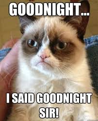 Check spelling or type a new query. 101 Good Night Memes For When You Want Funny Goodnight Wishes