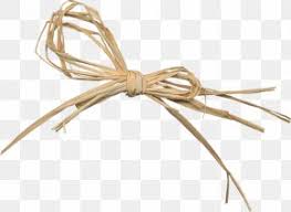 Rope Raffia Palm Rafia Clip Art Png 1800x1240px Rope Beige Button Photography Raffia Palm Download Free Manteles individuales rafia palm charger, cesta, posavasos, textil, mantel, turquesa, servicio, fibra natural png. rope raffia palm rafia clip art png