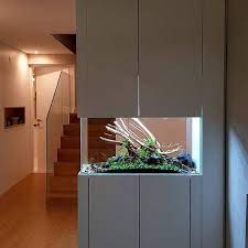 Pin On Aquascape Indonesia