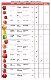 Apple Varieties Apple Varieties Apple Chart Apple Types