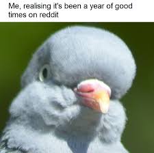 Thanks For The Fun Times Lads Memes