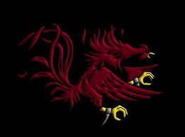 Quality, inexpensive computer repair and professional website design 48 Carolina Gamecocks Desktop Wallpaper On Wallpapersafari