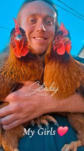 Tractor supply today. Sansa really liked the chicks🙃 birddog