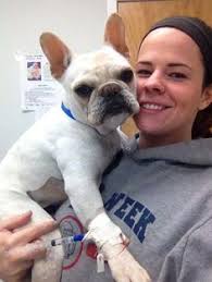 Joy Vining-Crozier (joycrozier)