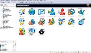 In esc, go to inventory → adjust inventory. Sage Pastel Evolution 4 0 Download Edm Exe