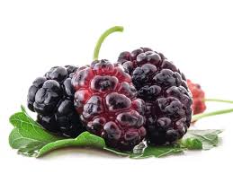 Mulberries Fruit Health Eating Organic Mulberry Fruit
